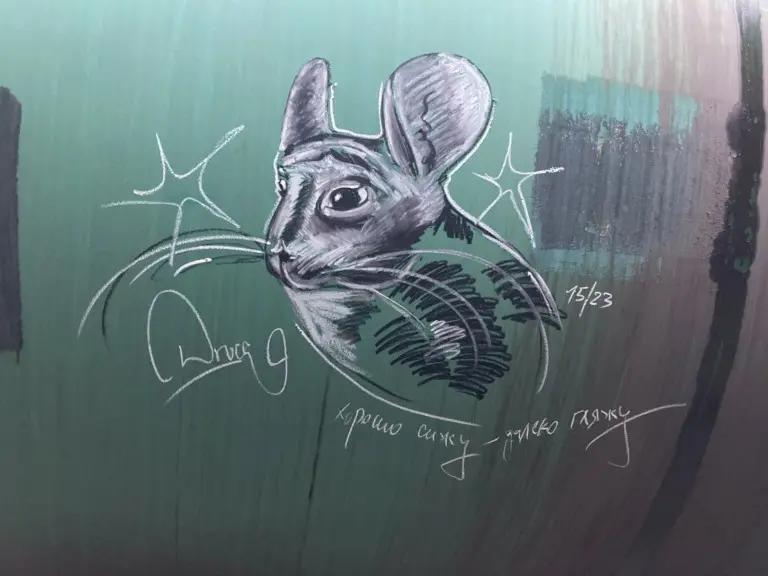 Андрей Druce Boxcar – Шиншилла 55