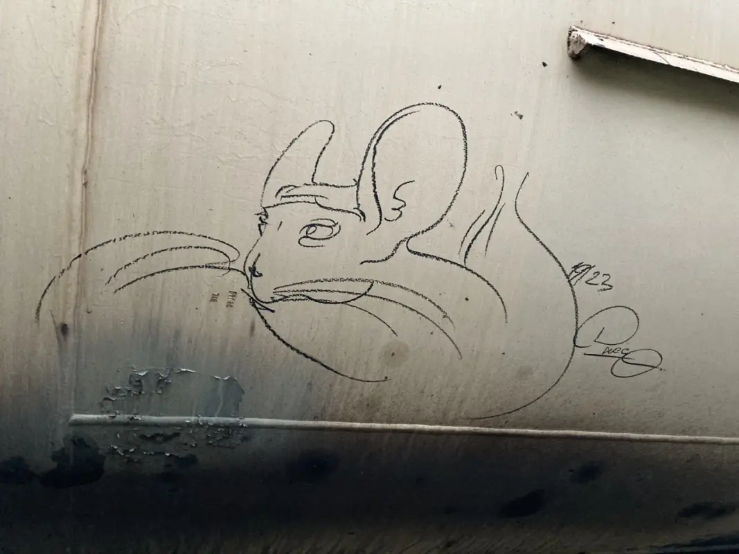 Андрей Druce Boxcar – Шиншилла 56