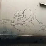 Андрей Druce Boxcar – Шиншилла 56