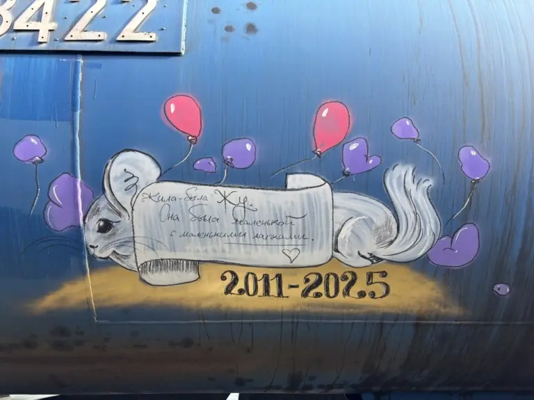 Андрей Druce Boxcar – Шиншилла 57