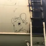 Андрей Druce Boxcar – Шиншилла 6