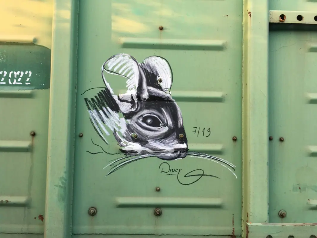 Андрей Druce Boxcar – Шиншилла 8