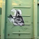 Андрей Druce Boxcar – Шиншилла 8