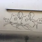 Андрей Druce Boxcar – Шиншилла 9