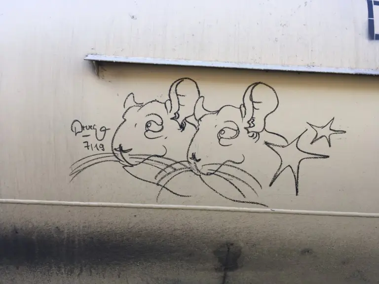 Андрей Druce Boxcar – Шиншилла 9