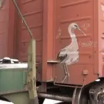 Андрей Druce Boxcar – Цапля 3