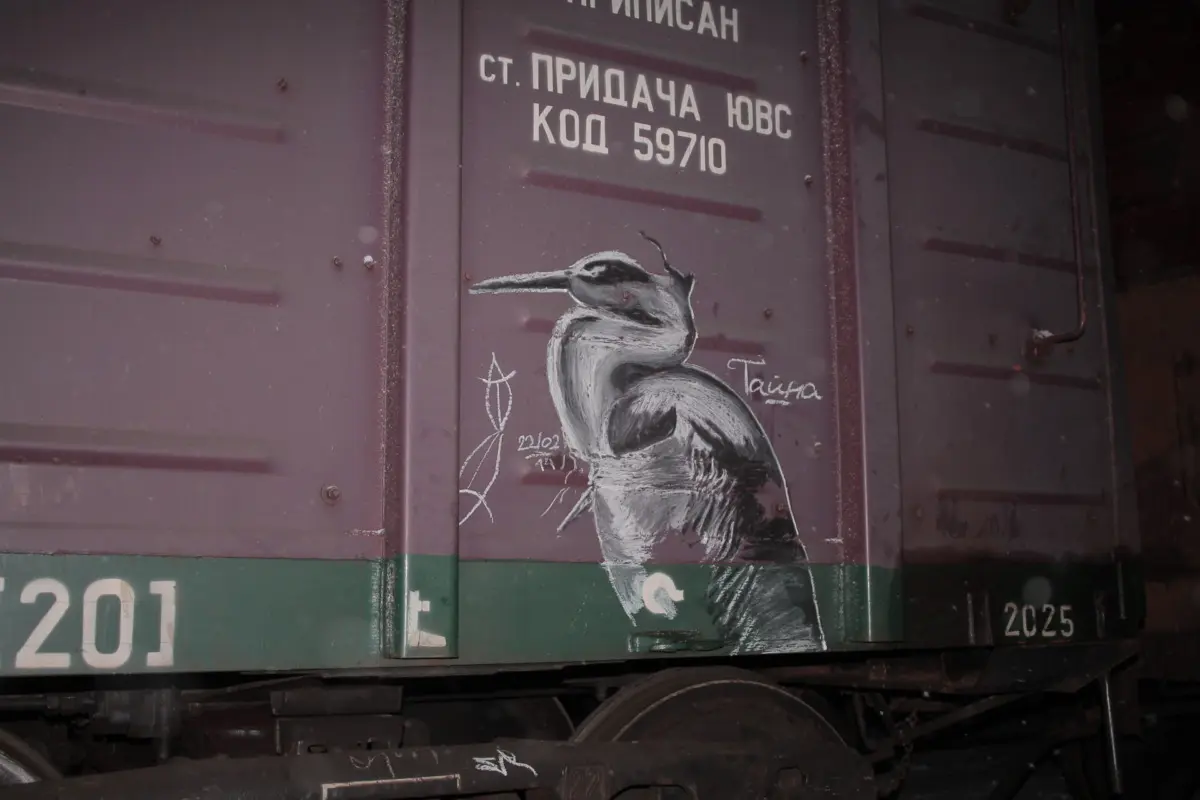 Андрей Druce Boxcar – Цапля 4