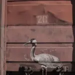 Андрей Druce Boxcar – Цапля 5