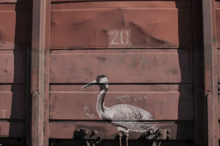 Андрей Druce Boxcar – Цапля 5