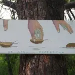 Крепкий палец – Стены 2