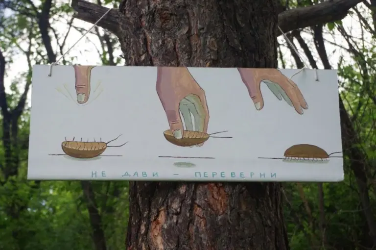 Крепкий палец – Стены 2