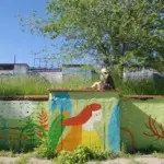 Крепкий палец – Стены 4