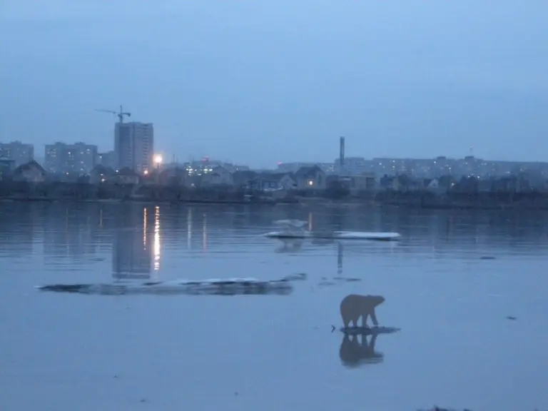 Крепкий палец – Стены 5