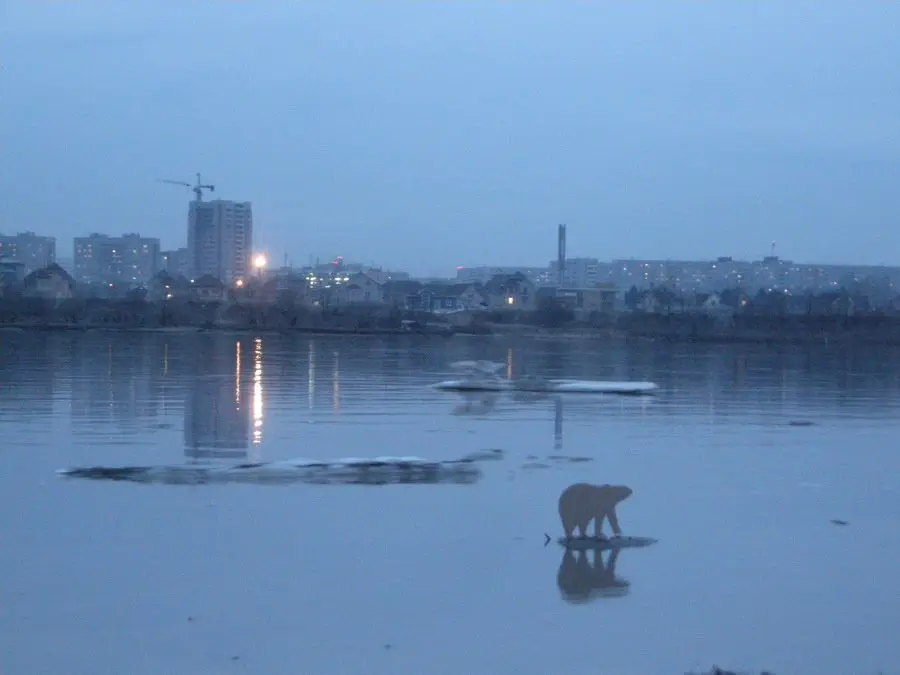 Стены 5 Крепкий палец – Стены 5